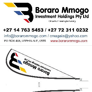 Boraro Mmogo business card and teardrop banners